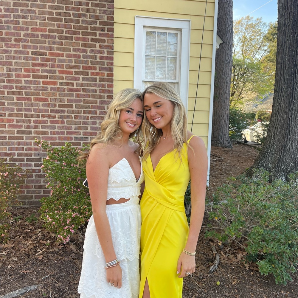 alamour the label maxi gown